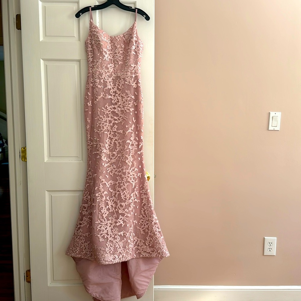 Portia and Scarlet gown.
